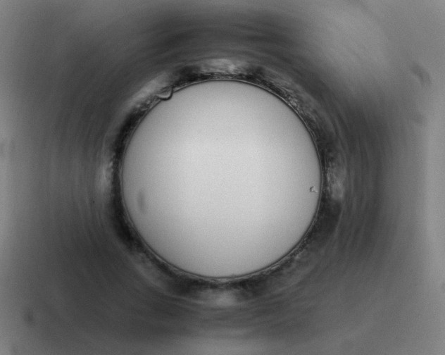 X0000116840735200912312054