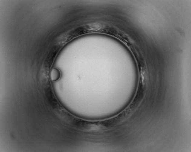 X0000116840737200912312054