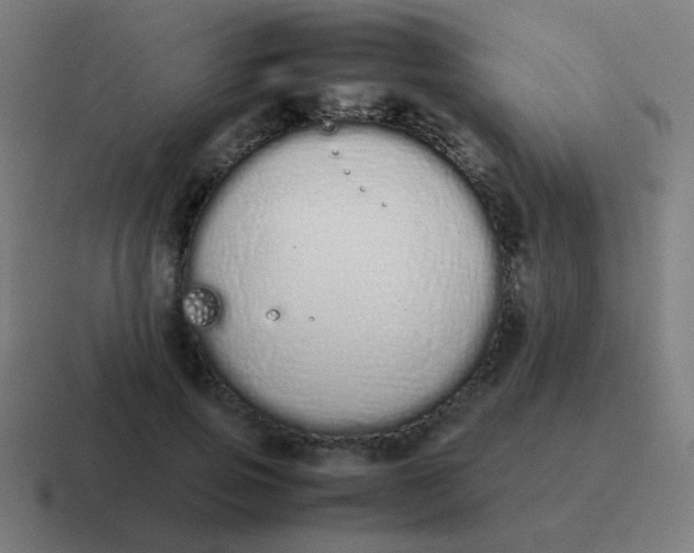 X0000116840741200912312054