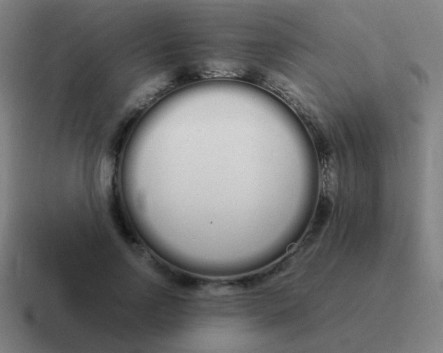 X0000116840742200912312054