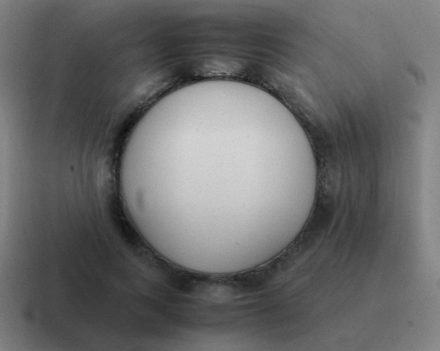 X0000116840743200912312054