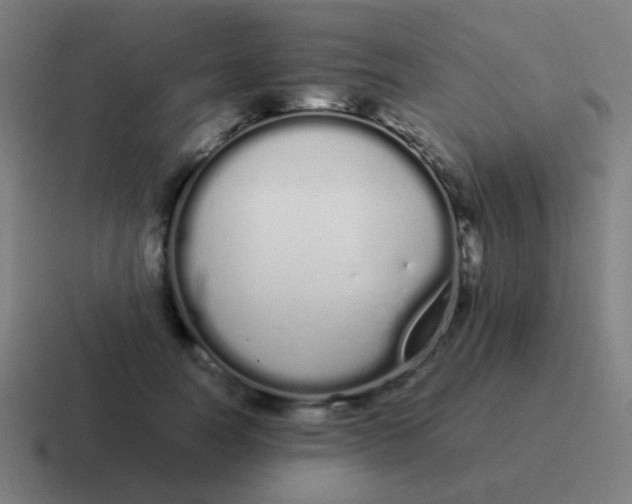 X0000116840746200912312054