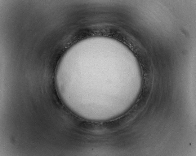 X0000116840753200912312054