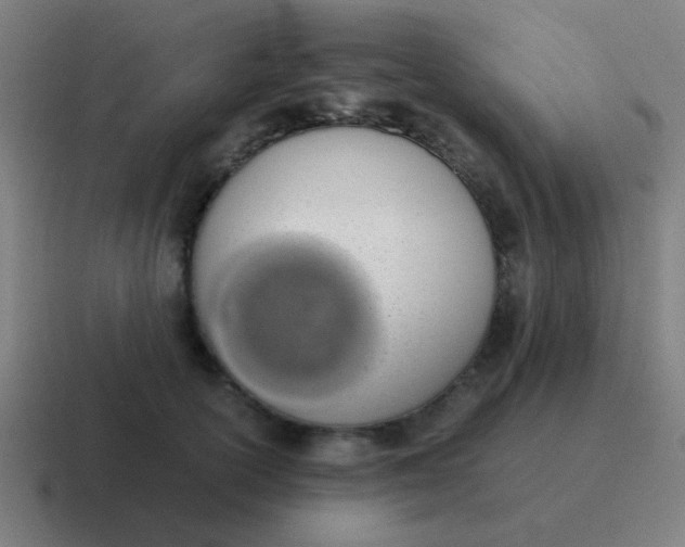 X0000116840754200912312054