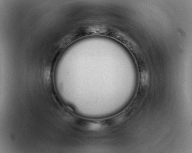 X0000116840757200912312054