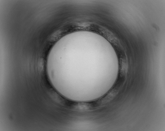 X0000116840758200912312054