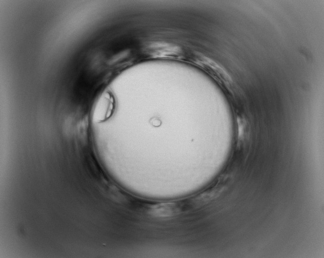 X0000116840761200912312054