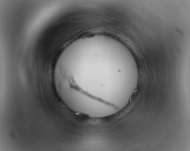 X0000116840762200912312054