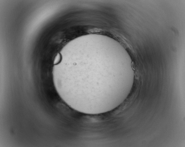 X0000116840763200912312054