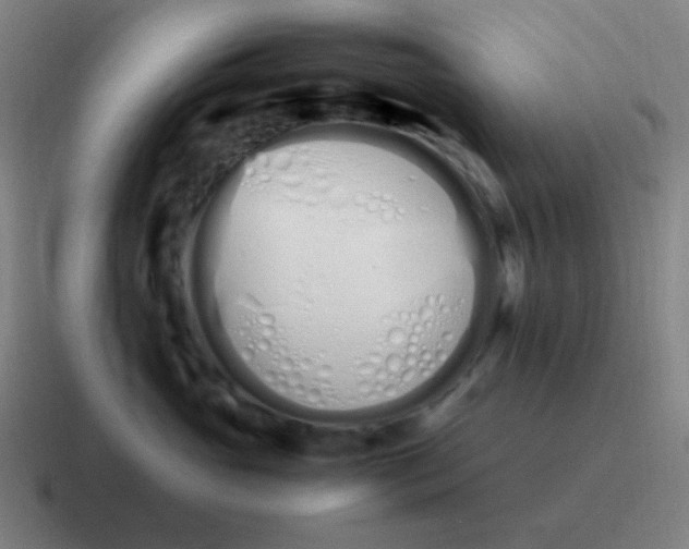 X0000116840765200912312054