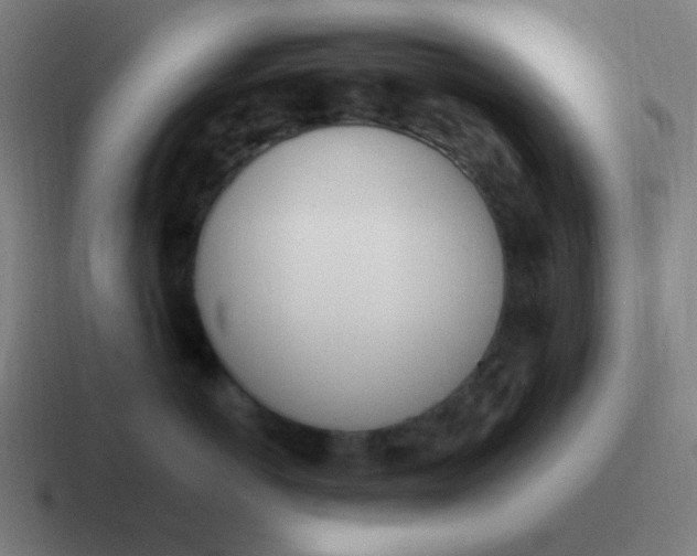 X0000116840766200912312055