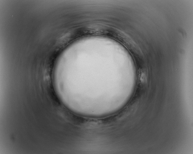 X0000116840771200912312054