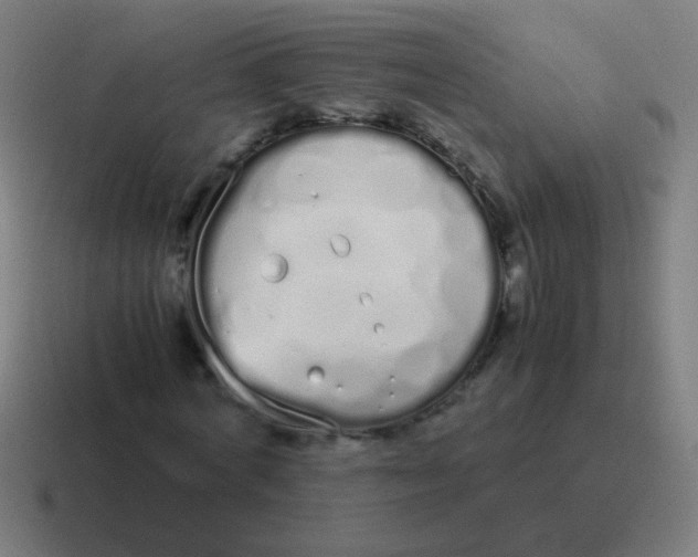 X0000116840772200912312054