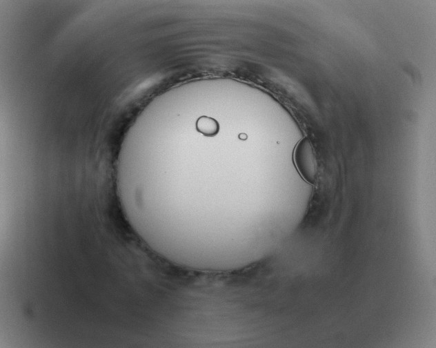 X0000116840773200912312054