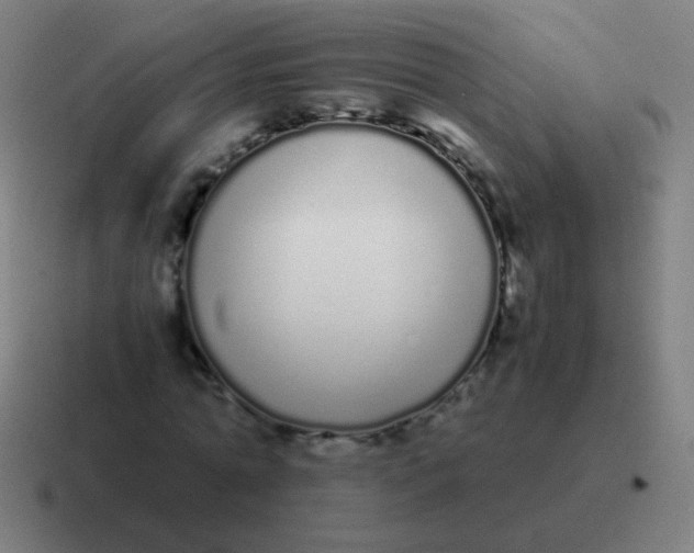 X0000116840774200912312054