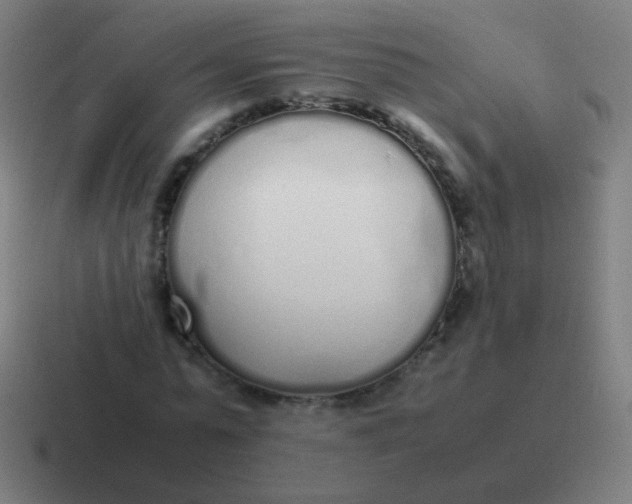 X0000116840775200912312054