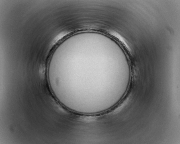 X0000116840778200912312054