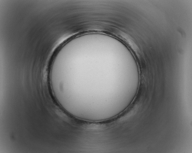 X0000116840779200912312054