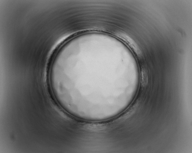 X0000116840780200912312054