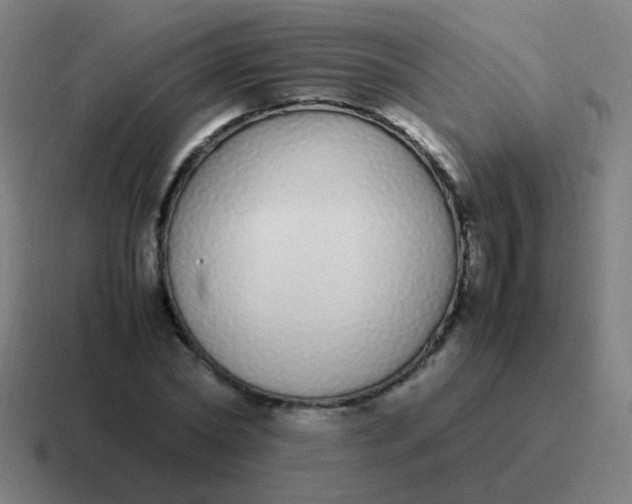 X0000116840782200912312054