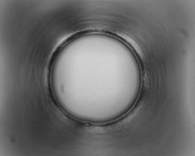 X0000116840783200912312054