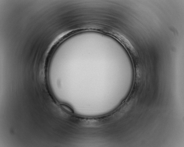 X0000116840784200912312054