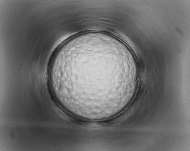 X0000116840787200912312053