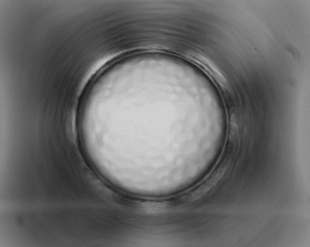 X0000116840788200912312053