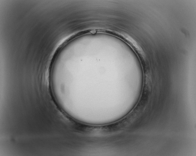 X0000116840791200912312053