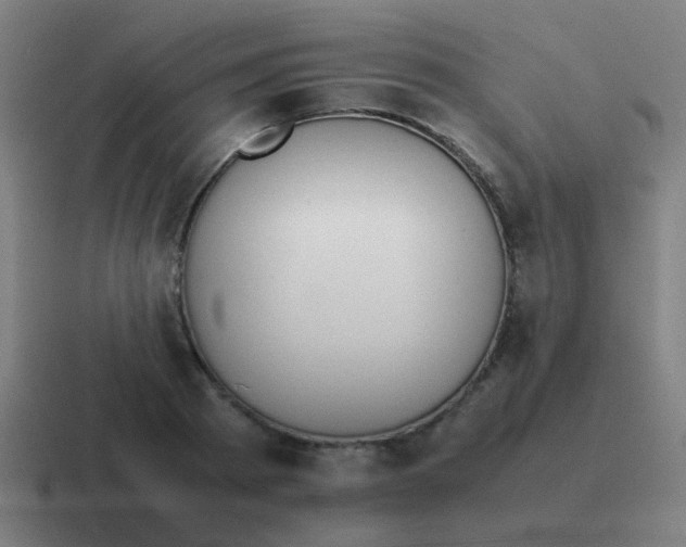 X0000116840793200912312053