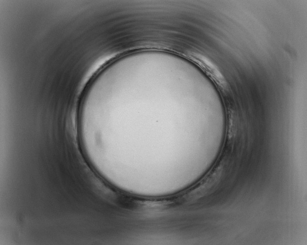 X0000116840796200912312053