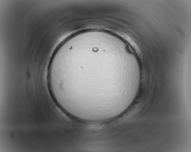 X0000116840799200912312053