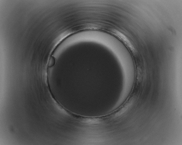 X0000116840802200912312053