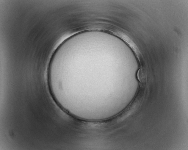 X0000116840803200912312053