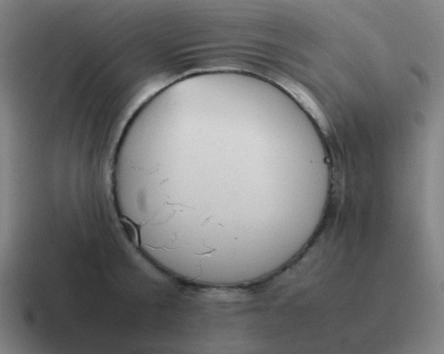 X0000116840805200912312053