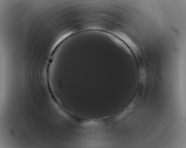 X0000116840806200912312053