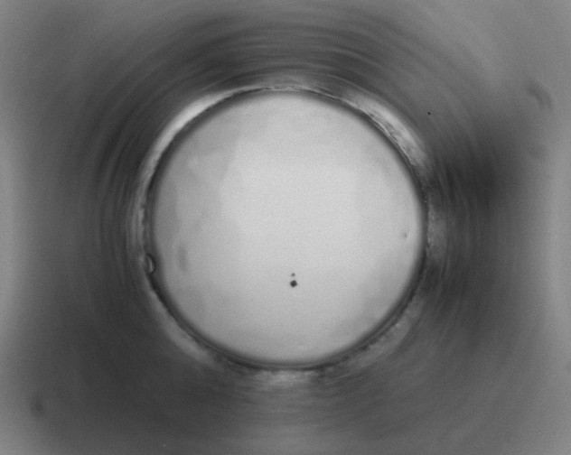 X0000116840808200912312053