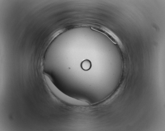 X0000116840809200912312053