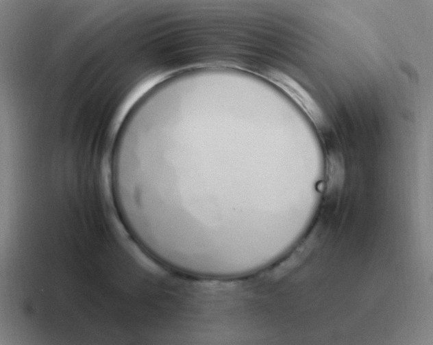 X0000116840812200912312053