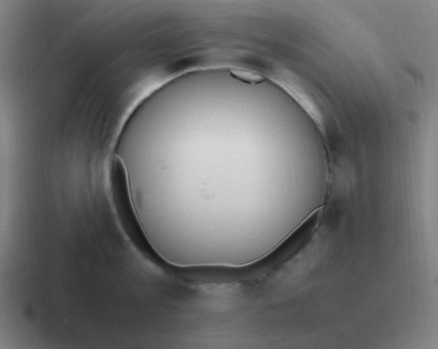 X0000116840813200912312053