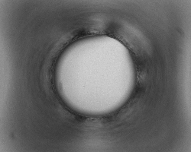 X0000116840817200912312053