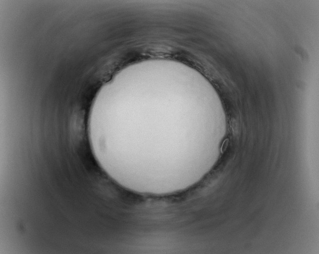 X0000116840818200912312053