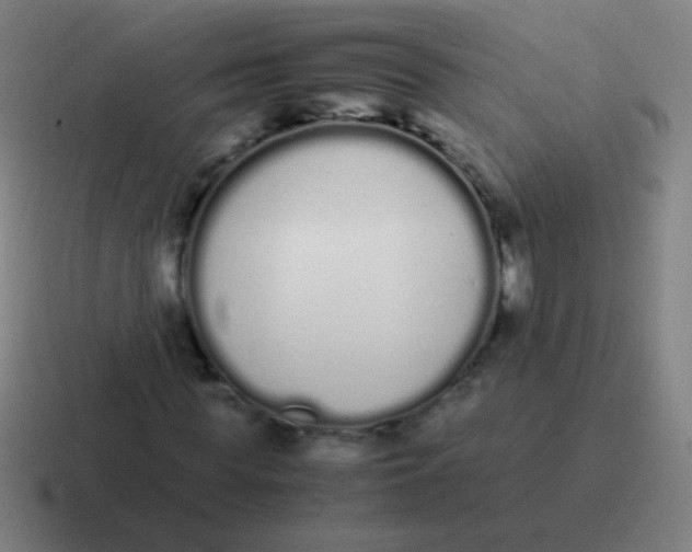 X0000116840819200912312053