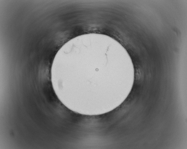 X0000116840820200912312053