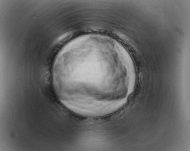 X0000116840822200912312053