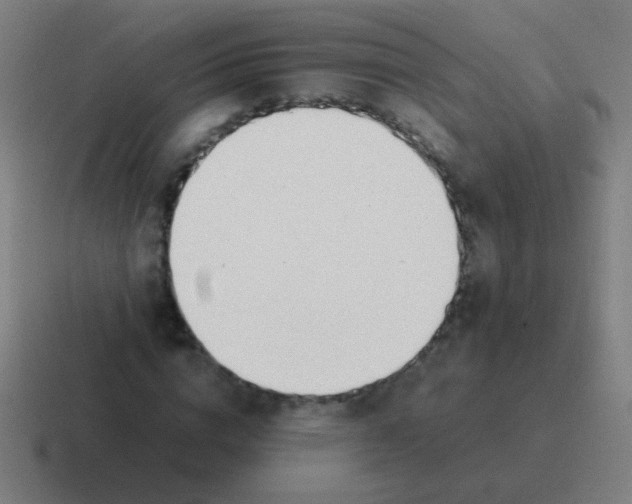 X0000116840824200912312053