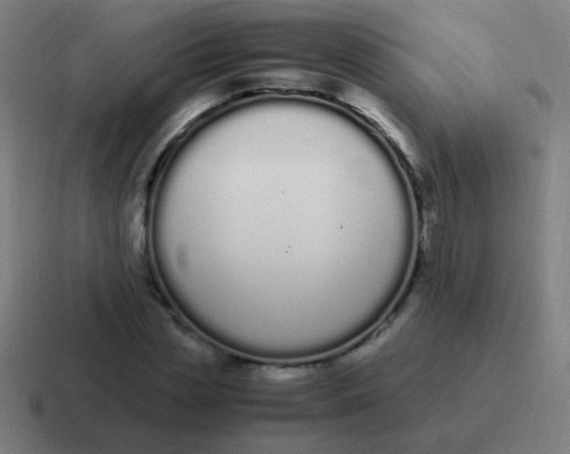 X0000116840829200912312053