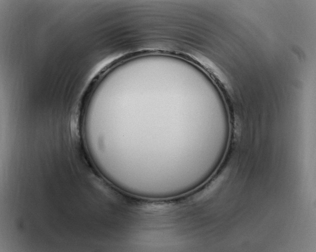 X0000116840830200912312053