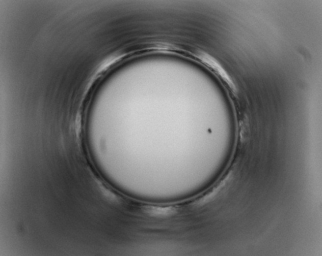 X0000116840831200912312053