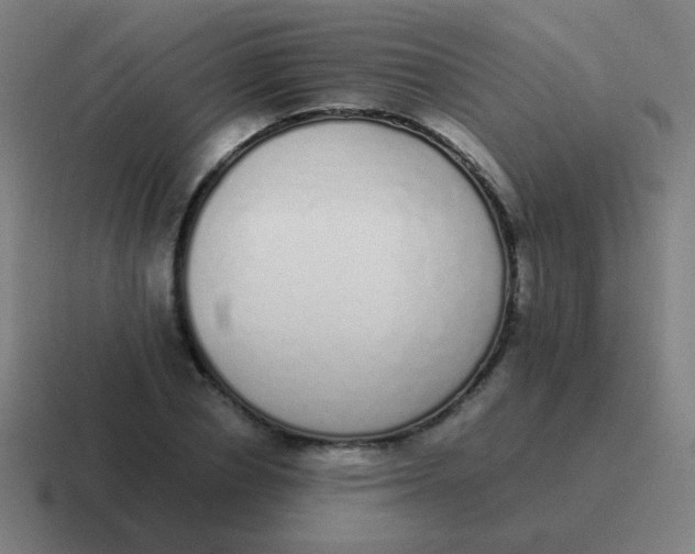 X0000116840834200912312053